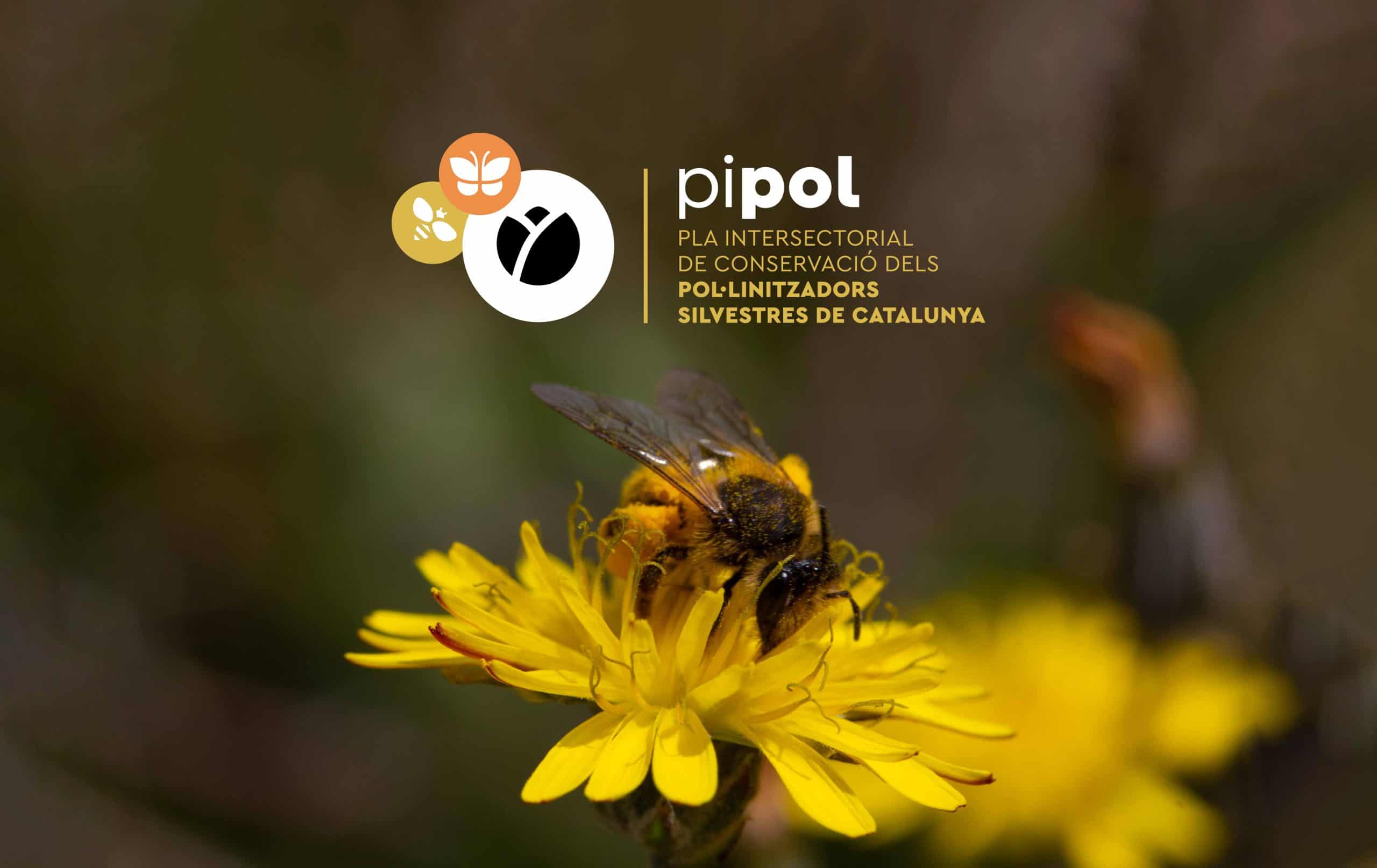 Pipol Early stages of drafting the Intersectoral Plan for the Conservation of ...